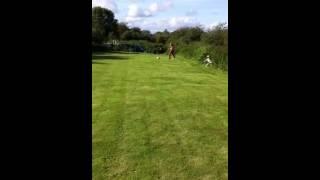 Matt Frost's corner kick