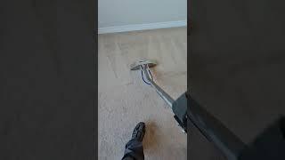 carpet cleaning 647-502-5008 www.exclusivehomeservices.ca