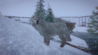 Planet Zoo Arctic Pack: Arctic Wolf