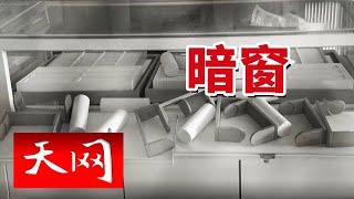 《天网》小城大案：黄某在金店疯狂行窃 金店暗窗成为破解线索！20241226