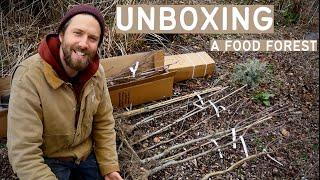 WHAT FRUIT TREES are we growing? | UNBOXING AN ORCHARD  |PERMACULTURE FOOD FOREST FARM & NO DIG VEG