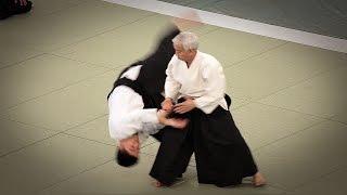 Aikido - Doshu Ueshiba Moriteru - 53rd All Japan Aikido Demonstration (2015)