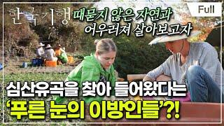 [Full] 한국기행 - 현지인처럼 살아볼까 2부 디스 이즈 내와리