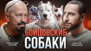 Бойцовские собаки – Мифы и воспитание собак / Кинолог Виталий Орлов