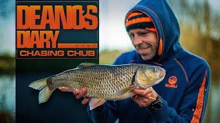 Deano's Diary Chasing Chub