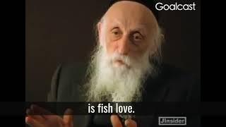 FISH LOVE from Rabbi Twersky