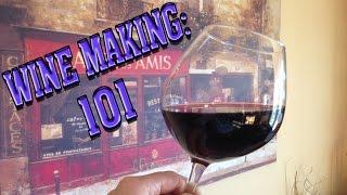 Beginner Brewer Series:  Wine Making 101