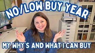   Low to No Buy Year: How I’m Shopping Smarter & Living Better! 