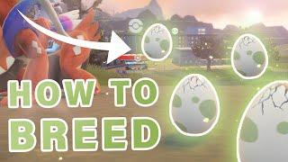 How to BREED Pokemon Eggs ► Pokemon Scarlet & Violet