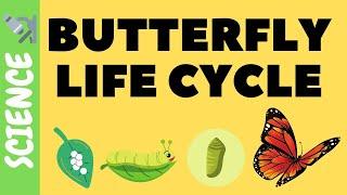 Butterfly Life Cycle FOR KIDS | Science Videos for Kids