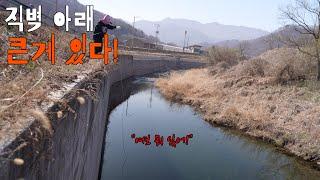 높은 직벽 아래 대물이 보여 특별한 미끼로 통발 놓고 5일이 지났더니.. 드디어 잡혔습니다!