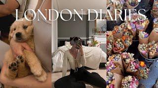 LONDON DIARIES: getting back into my routine, organizing my closet, + puppy yoga