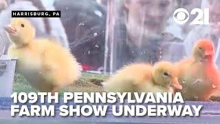 2025 PA Farm Show kicks off festivities for 109th year