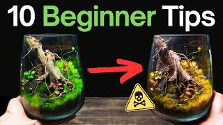 10 Terrarium Tips You NEED To Know Before You Start!