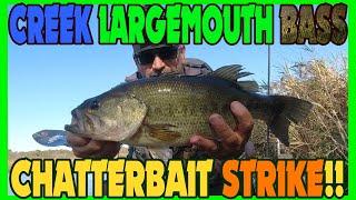 Bass and Pike Attacks Chatterbait!! (Kayak Creek Fishing Adventures)