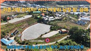 (매물번호  446)  서산토지사랑 ,서산시 팔봉면 어송리, 저렴한 남향 밭 매물! 투자 기회 놓치지 마세요 ,귀촌·귀향 최적지! 서산 어송리 남향 밭 7,500만 원 매매