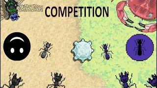 Pocket ants: Competition with Pickkylanla!