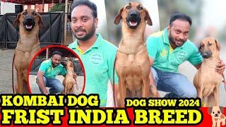 Exclusive interview Frist India Breed Kombai Dog | International Dog Show In Chennai | CTSJ