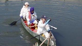 Wow! What's In Brooklyn's Gowanus Canal?