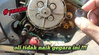 Oil Tidak Naik! Padahal Sudah Ganti Filter Oil || Ternyata Ini Penyebabnya!!! Yamaha Vixion