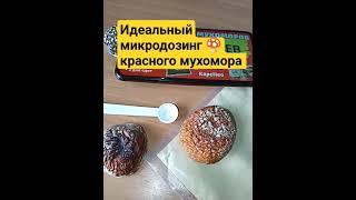 Идеальный микродозинг  красного мухомора #микродозинг #мухомор #мдм