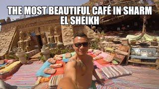 FARSHA -The most beautiful Cafe/Lounge in Sharm El Sheikh | Mateo's Adventures