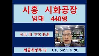 [계약완료]시흥 안산 시화공단 반월공단 공장 정왕동 임대 440평  세종위상무