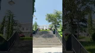 Tbilisi Virtual Tour - Walking along Chavchavadze Avenue #shorts | 52