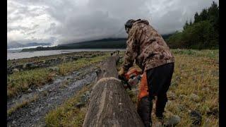 Back to work on the Alaska Homestead