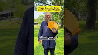 Three types of trees can grow your wealth！#fengshui #wealth #energy