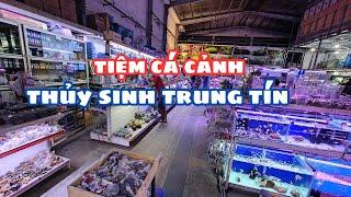 Kham Quan Tiệm Cá Cảnh To Nhất Sài Gòn Và Rất Nhiều Dòng Cá Cảnh ( CÁ CẢNH TRUNG TÍN )