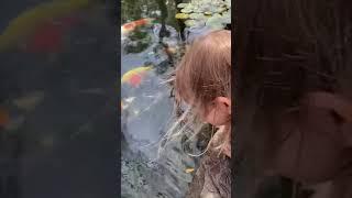 Visiting Cape Fear Koi