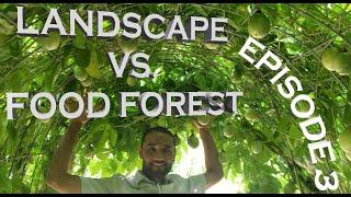 Landscape VS Food Forest: Episode 3: Creating a Beautiful & Edible Passion Fruit Tunnel