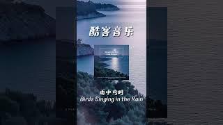 酷客音樂 -雨中鳥鳴