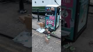 Hungry Seagulls in Bristol, UK