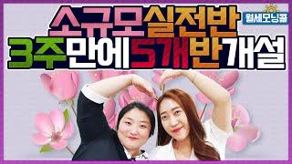 3주 만에 소그룹 실전반 5개반 개설!!![경매교육][소액투자]