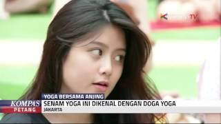 "Doga Yoga" Yoga Dengan Anjing Kesayangan