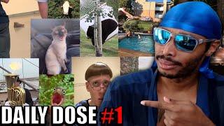 Watching Daily Dose For The First Time! | Daily Dose Of Internet Reaction #1