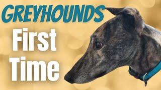 Greyhound's First Time