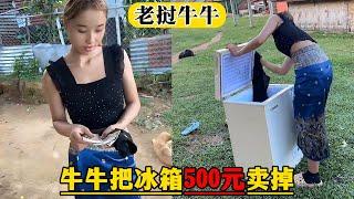 【老挝牛牛】牛牛把家里的冰箱500元就卖掉了，安娜非常舍不得！
