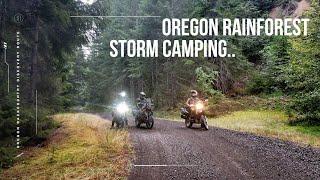 Motorcycle Camping In a STORM in North Oregon's Temperate RAINFOREST | WA-OR BDR [E-4]