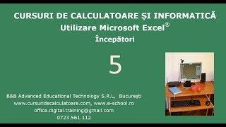 Cursuri de calculatoare – Microsoft Excel 2016 – Incepatori – Cursul nr. 5 / 7