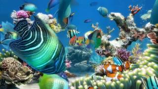 Sim Aquarium scene 2 (4K)