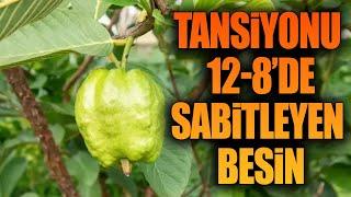 Tansiyonu 12-8 de Sabitleyen Besin.