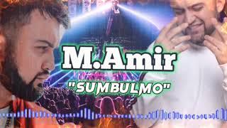 М.Амир песня "Сумбулмо" /2024 / M.Amir " Sumbulmo" 2024