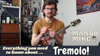 Tremolo on the Mandolin - everything you need to know (Beginner & Intermediate)