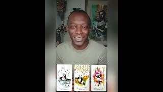 Way of the Panda Tarot - Which soured relationships are holding you back and in need to repair?