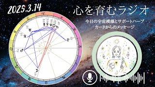 乙女座満月(皆既月食)落ち着いて自分の気持ちに寄り添って【2025年3月14日】星読み&12星座別メッセージ