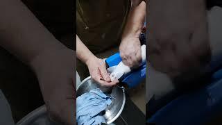 Рыбный Хуторок дойка икры