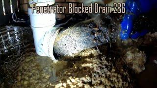 Blocked Drain 286 - Drain EXPLODES Before Removing Half A Tree From The Pipe